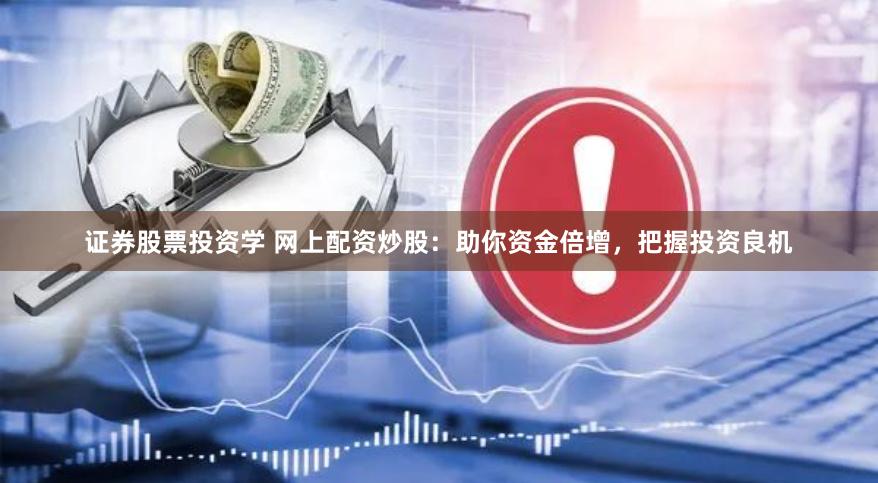 证券股票投资学 网上配资炒股：助你资金倍增，把握投资良机