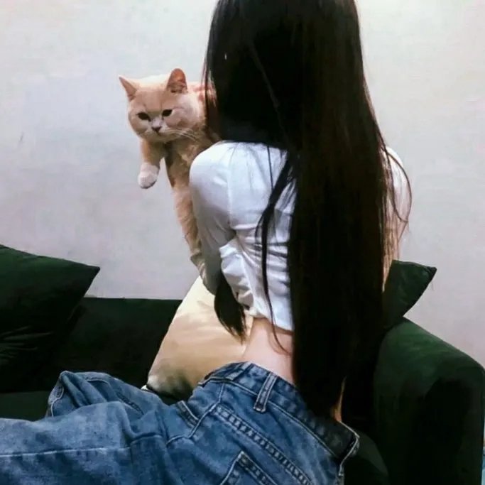 贝尔女巫萦绕